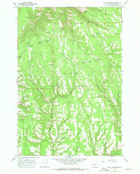 Billy Meadows 1967 topographic map preview
