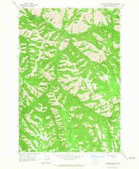 Bingham Springs 1963 topographic map thumbnail