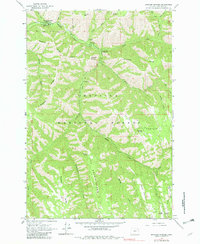 Bingham Springs 1963 topographic map thumbnail