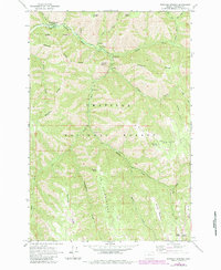 Bingham Springs 1963 topographic map thumbnail
