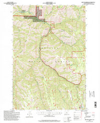 Bingham Springs 1995 topographic map thumbnail