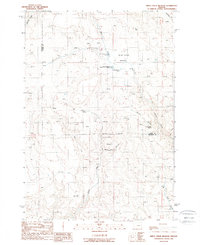 Birch Creek Meadow 1988 topographic map thumbnail
