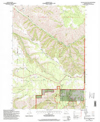 Blalock Mountain 1995 topographic map thumbnail