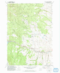 Blue Canyon 1993 topographic map thumbnail