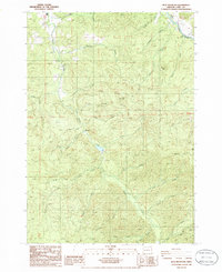Blue Mountain 1986 topographic map thumbnail