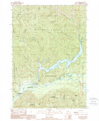 Blue River 1989 topographic map thumbnail