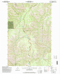 Bone Spring 1995 topographic map thumbnail