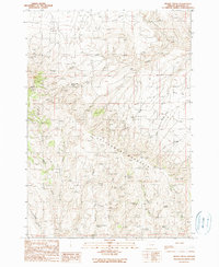 Brady Creek 1990 topographic map thumbnail