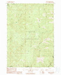 Brandy Peak 1989 topographic map preview