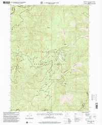 Brandy Peak 1998 topographic map thumbnail