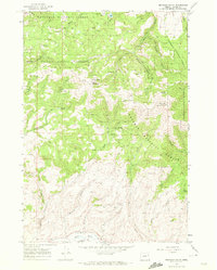 Brannan Gulch 1967 topographic map thumbnail