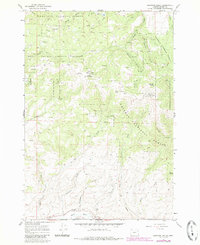 Brannan Gulch 1967 topographic map thumbnail