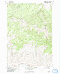 Brannan Gulch 1993 topographic map thumbnail