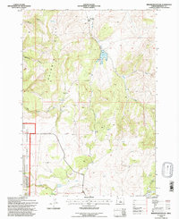 Brewer Reservoir 1992 topographic map thumbnail