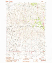 Bridgeport 1990 topographic map thumbnail