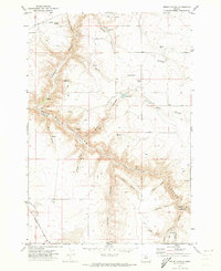 Bronx Canyon 1971 topographic map thumbnail