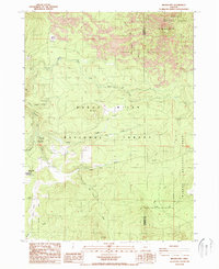 Brown Mountain 1988 topographic map thumbnail