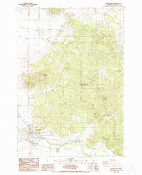 Brownsville 1988 topographic map thumbnail