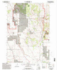 Buck Butte 1992 topographic map thumbnail