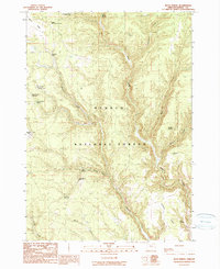 Buck Spring 1990 topographic map thumbnail