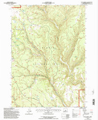 Buck Spring 1992 topographic map thumbnail