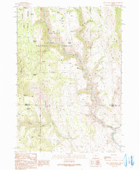 Buck Trough Spring 1990 topographic map thumbnail