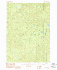 Buckeye Lake 1989 topographic map thumbnail