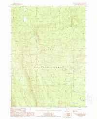 Buckhorn Springs 1988 topographic map thumbnail