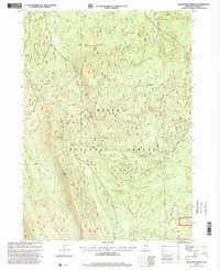 Buckhorn Springs 1998 topographic map thumbnail