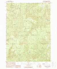 Buckskin Peak 1989 topographic map thumbnail