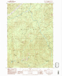 Bull of The Woods 1985 topographic map thumbnail
