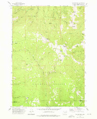 Bullrun Rock 1972 topographic map thumbnail