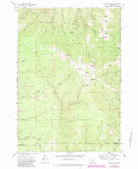 Bullrun Rock 1972 topographic map thumbnail
