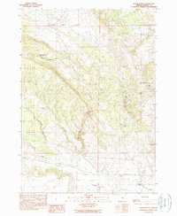 Burns Butte 1990 topographic map thumbnail
