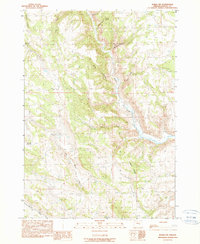 Burns NW 1990 topographic map thumbnail