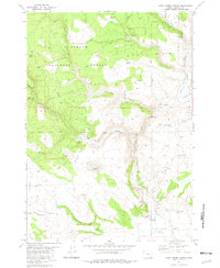 Camp Currey Spring 1981 topographic map thumbnail