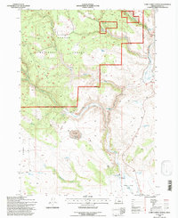 Camp Currey Spring 1992 topographic map thumbnail