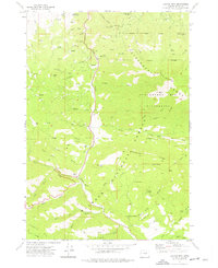 Canyon Mtn topographic map thumbnail