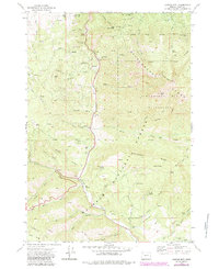 Canyon Mtn 1972 topographic map thumbnail