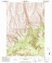 Carney Butte 1995 topographic map thumbnail
