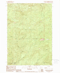 Carpenter Mountain 1989 topographic map thumbnail
