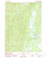 Cave Junction 1989 topographic map thumbnail