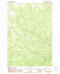 Chandler Mountain 1988 topographic map thumbnail