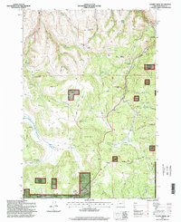 Chapin Creek 1995 topographic map thumbnail