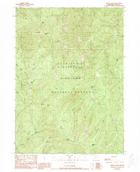 Chetco Peak 1989 topographic map thumbnail