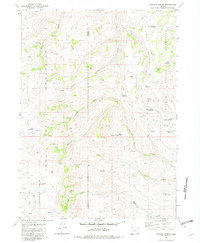 Chicken Spring 1981 topographic map thumbnail