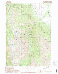 Chief Joseph Mtn 1990 topographic map thumbnail