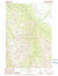 Chief Joseph Mtn 1990 topographic map thumbnail