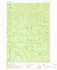 Chilcoot Mountain 1989 topographic map thumbnail