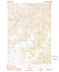 Clear Lake Ridge 1990 topographic map thumbnail